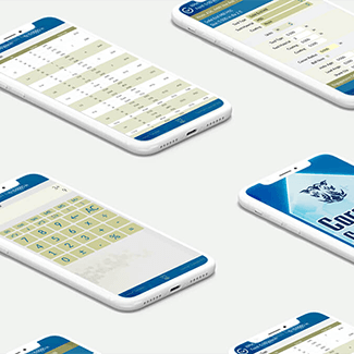 corehog-calculator-portfolio-h